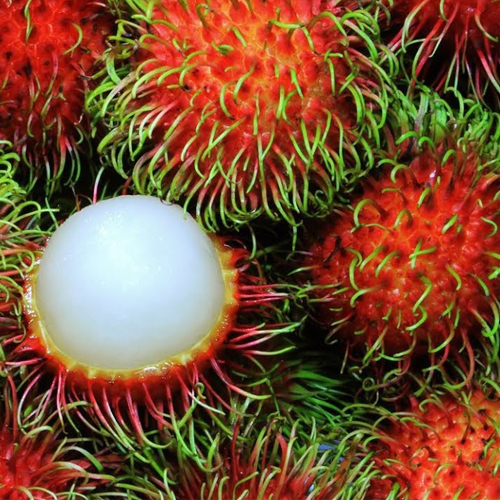 CHÔM CHÔM THÁI - RAMBUTANS